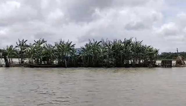 ভারী বর্ষণে পটুয়াখালীর নিচু এলাকা প্লাবিত হয়েছে। ছবি: সগৃহীত