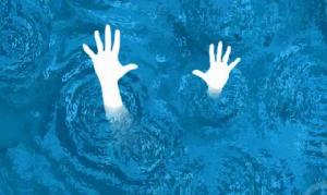 হবিগঞ্জে পুকুরে ডুবে ৩ শিশুর মৃত্যু