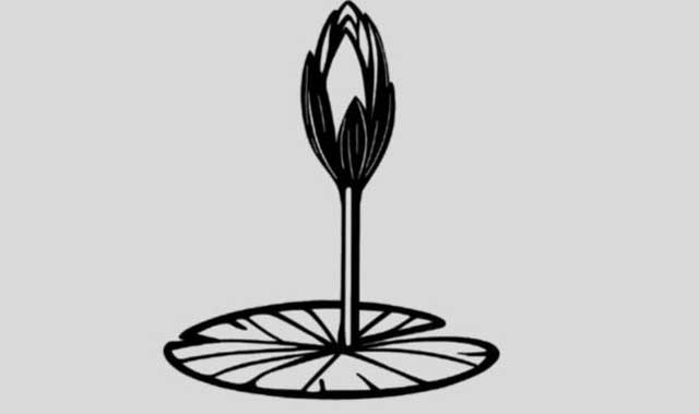  শাপলা কলি প্রতীক। ছবি: সংগৃহীত