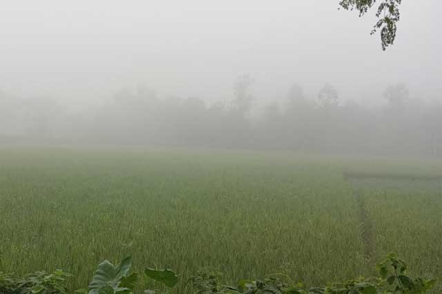 ছবি: পালাবদল